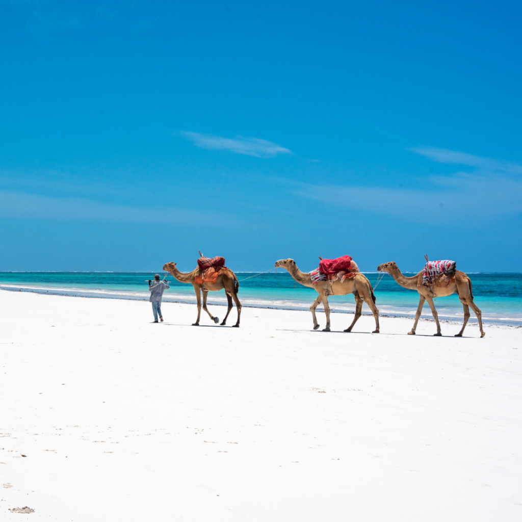 5 Best Spots to visit in Diani
