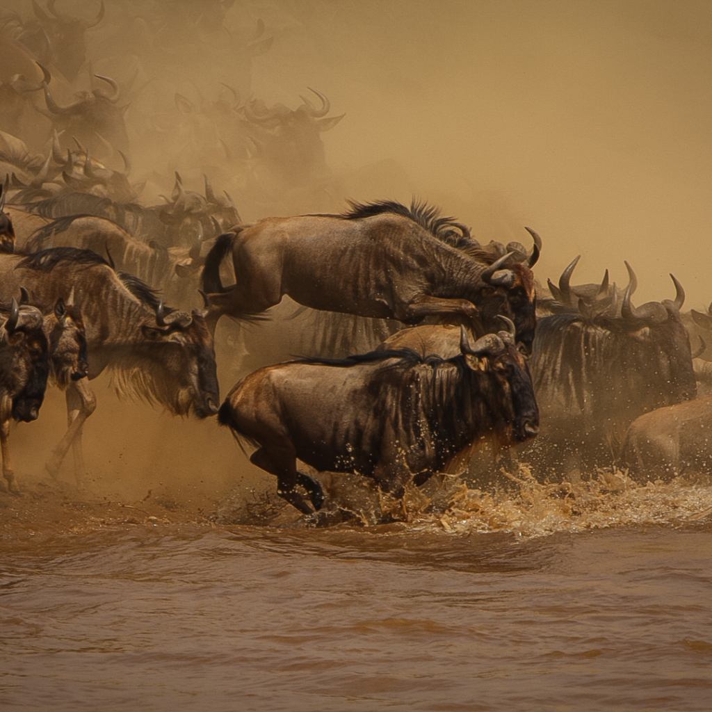 10 Things to expect when visiting Maasai Mara