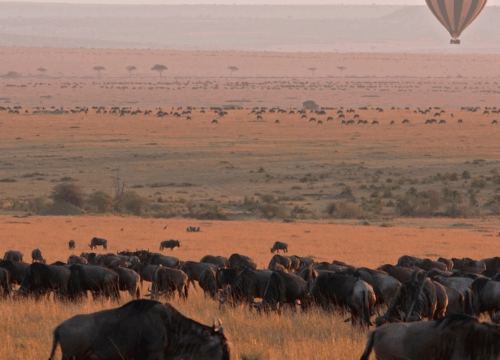 KWS Announces New Park Entry Rates (Effective October 1, 2025)